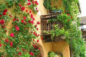 德天瀑布最佳旅游季節是什么時候？